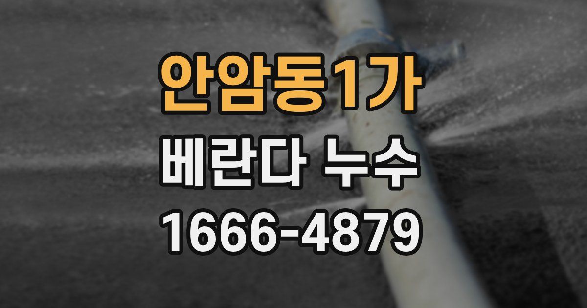 안암동1가 베란다 누수