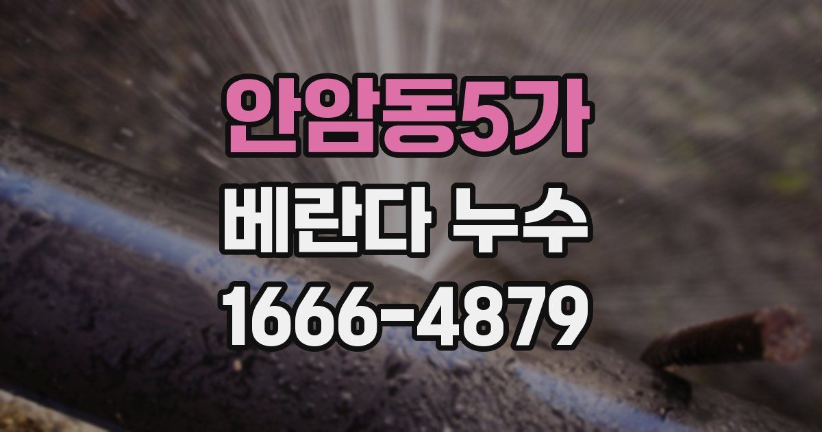 안암동5가 베란다 누수