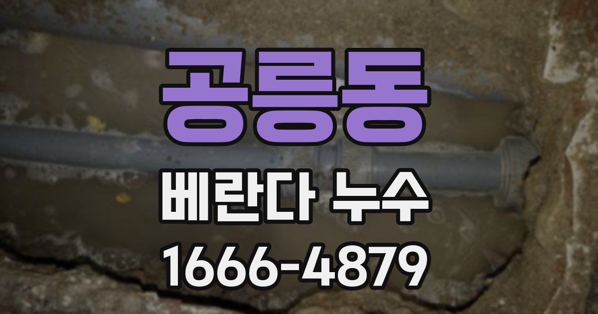 공릉동 베란다 누수