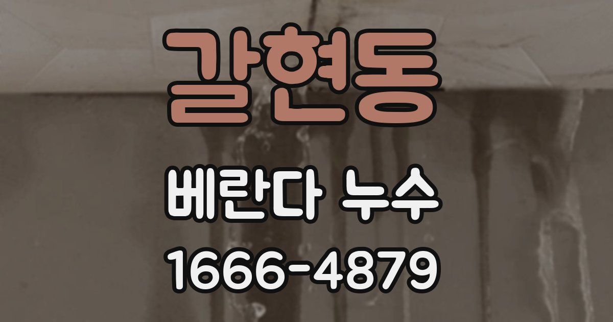 갈현동 베란다 누수