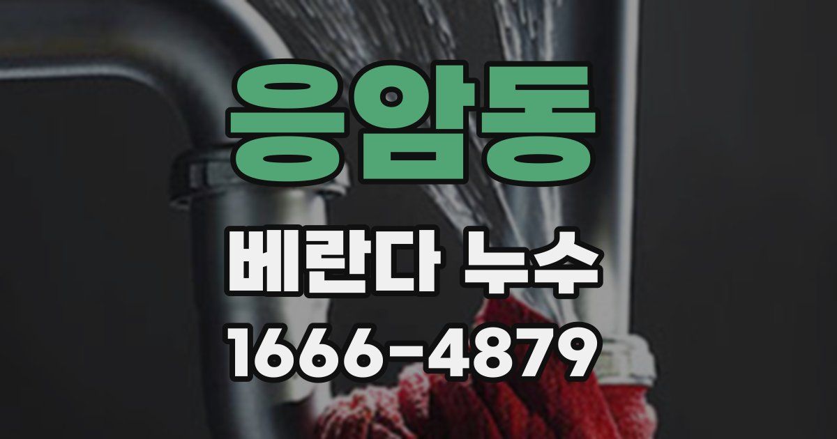 응암동 베란다 누수