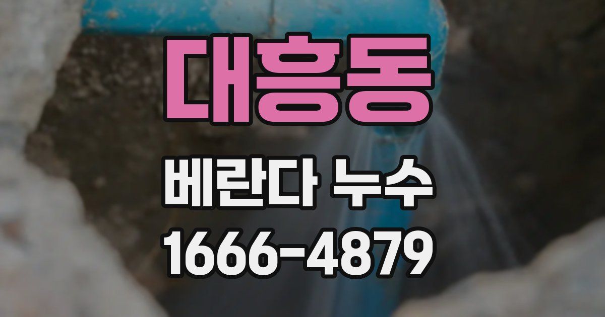 대흥동 베란다 누수