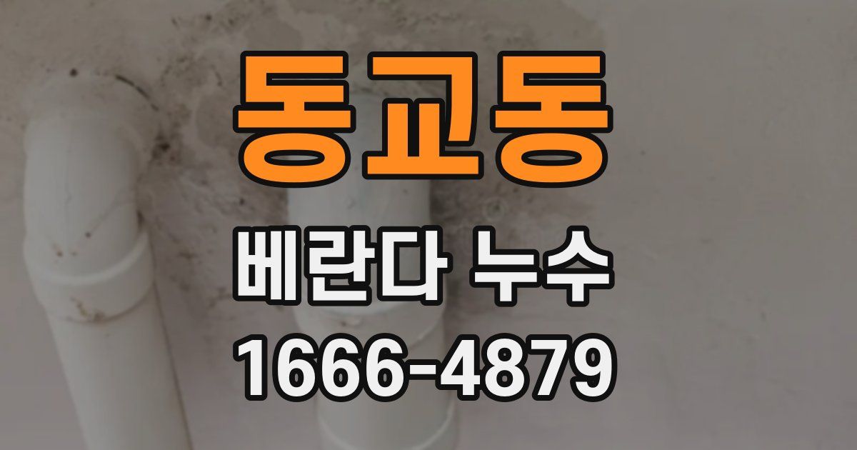 동교동 베란다 누수