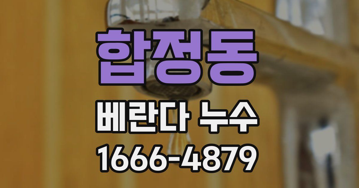 합정동 베란다 누수