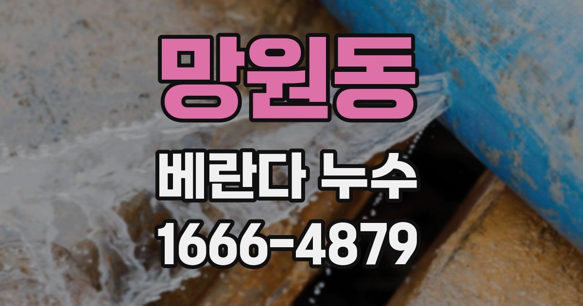 망원동 베란다 누수