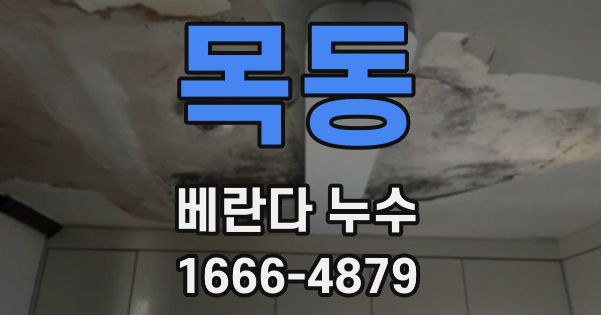목동 베란다 누수