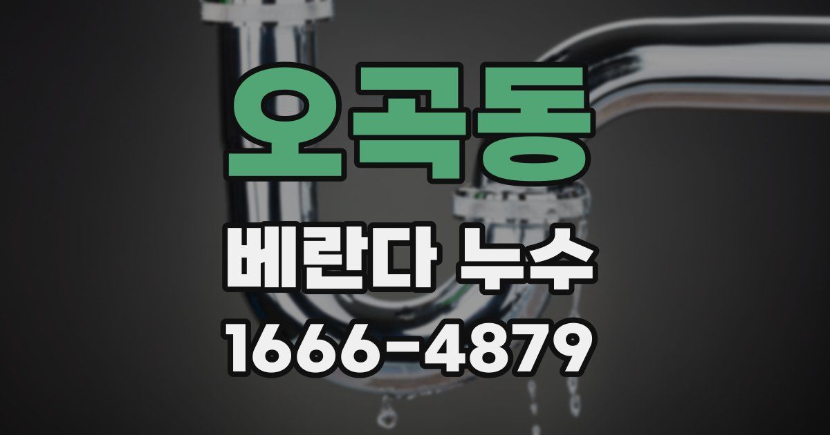 오곡동 베란다 누수