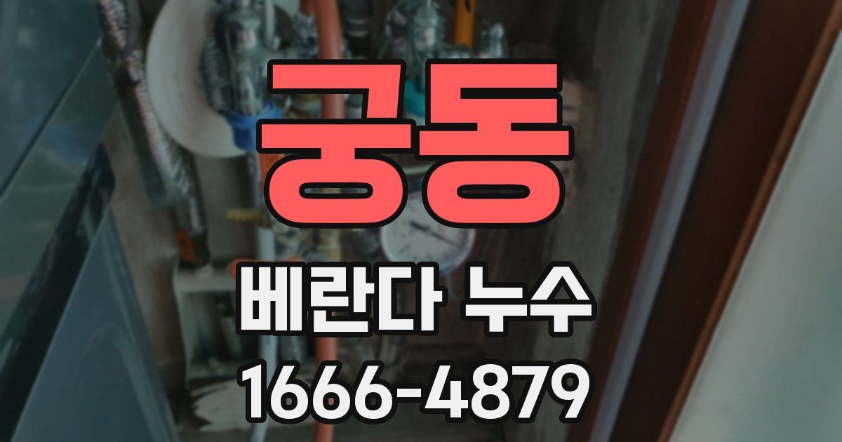 궁동 베란다 누수