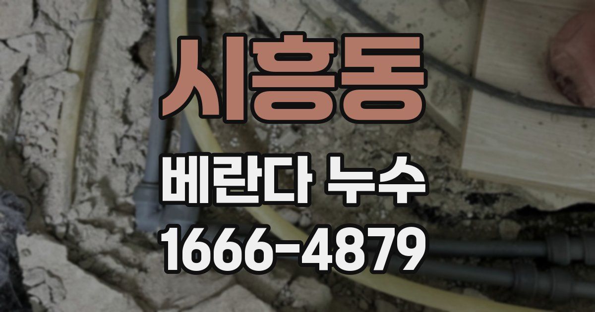 시흥동 베란다 누수