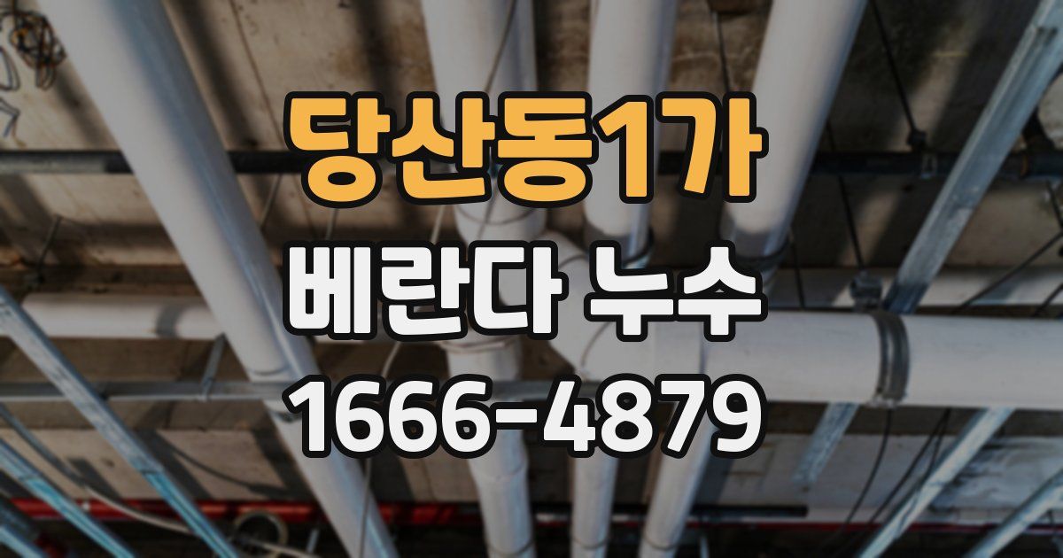당산동1가 베란다 누수