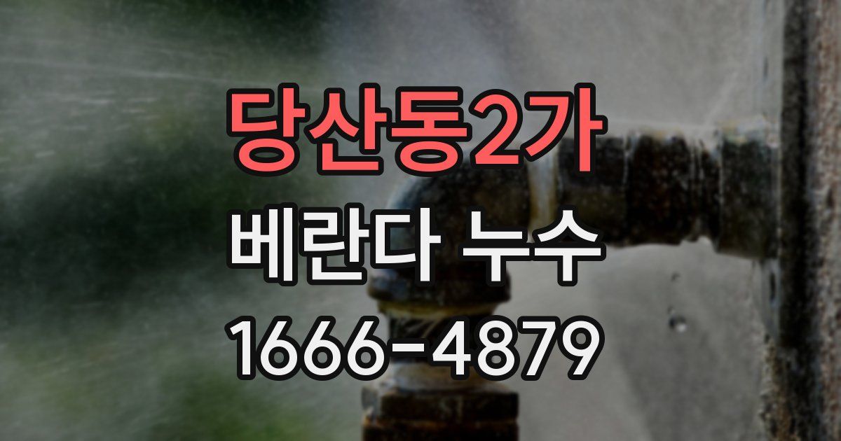 당산동2가 베란다 누수