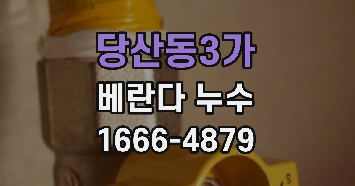 당산동3가 베란다 누수