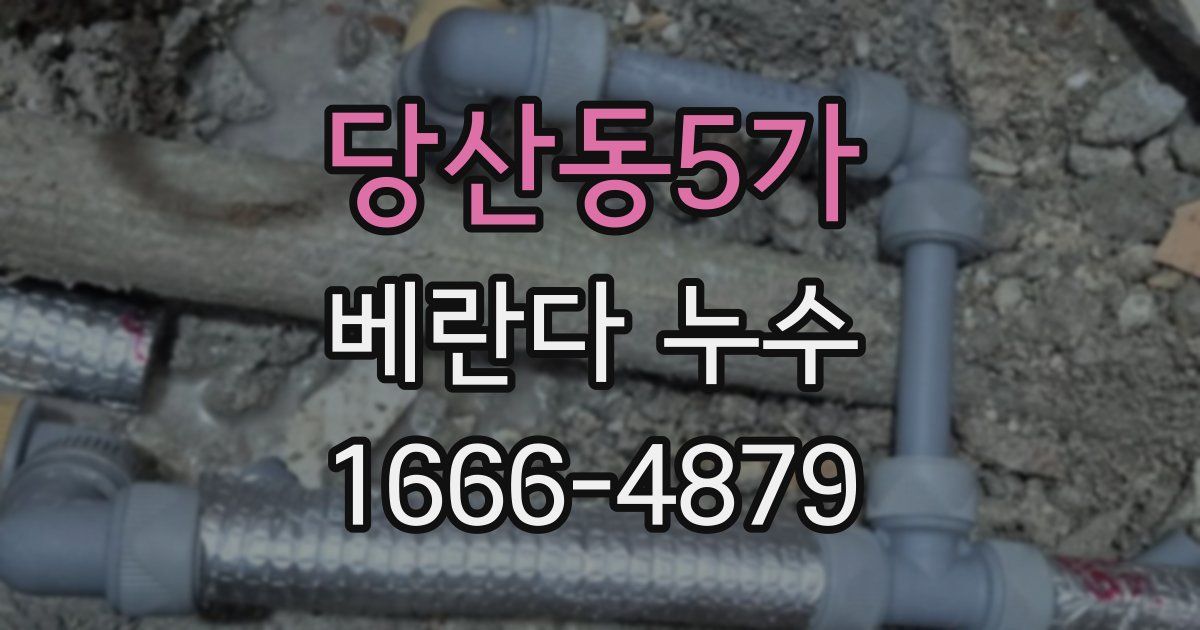 당산동5가 베란다 누수