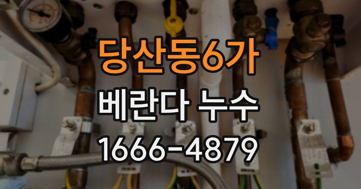 당산동6가 베란다 누수