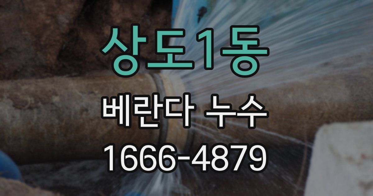 상도1동 베란다 누수