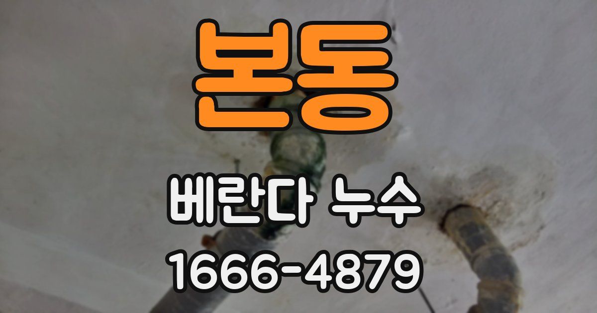본동 베란다 누수