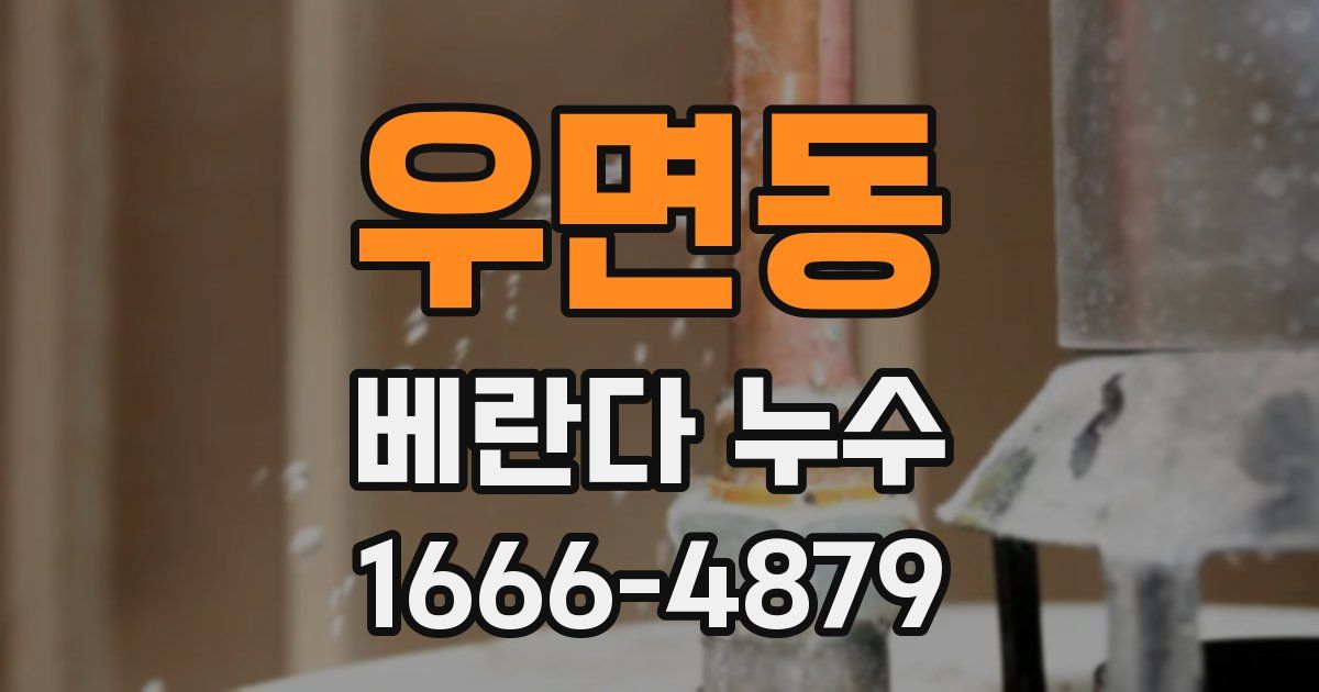 우면동 베란다 누수