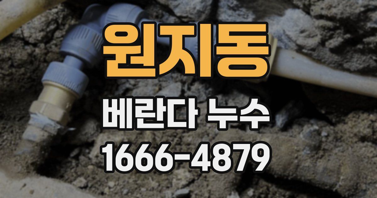 원지동 베란다 누수