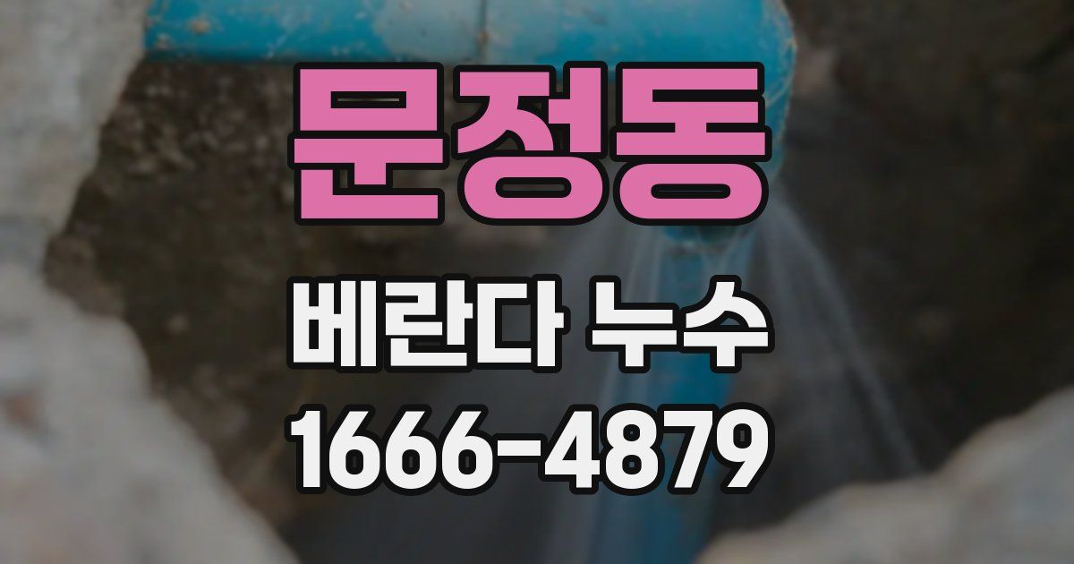 문정동 베란다 누수