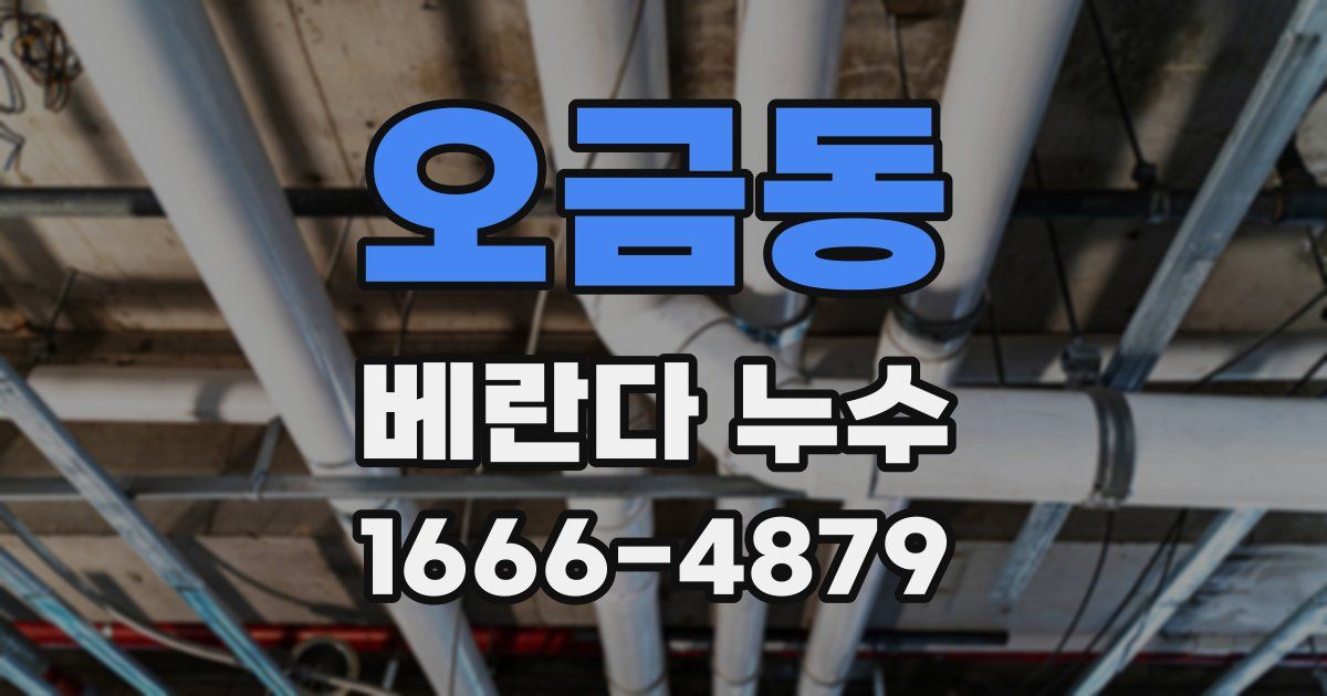 오금동 베란다 누수