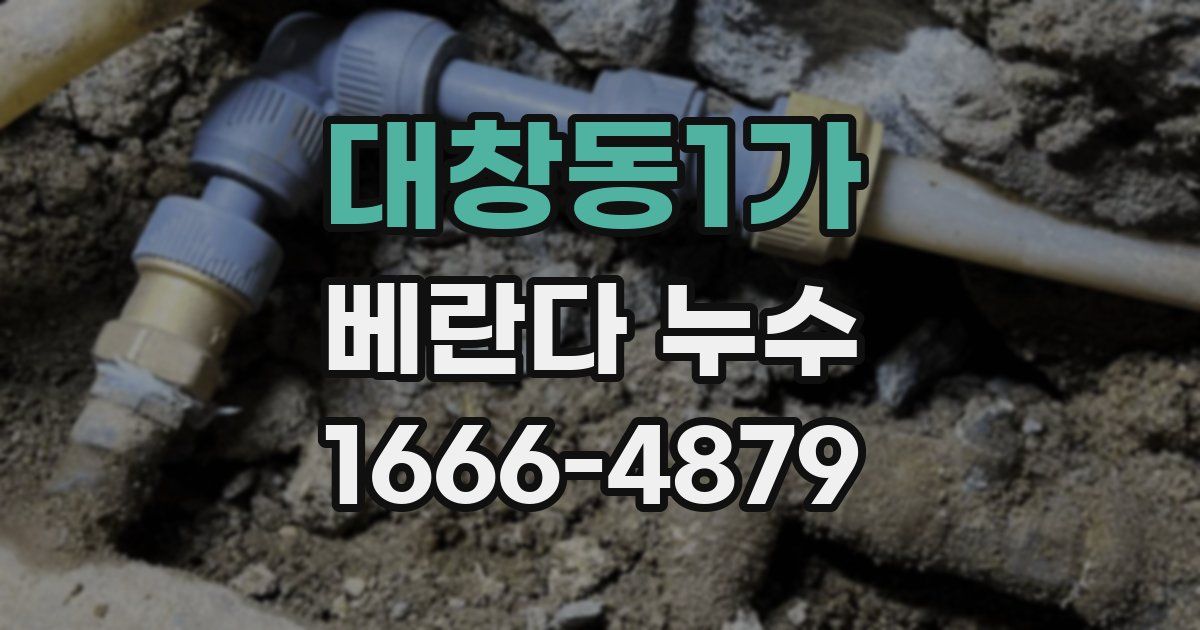 대창동1가 베란다 누수