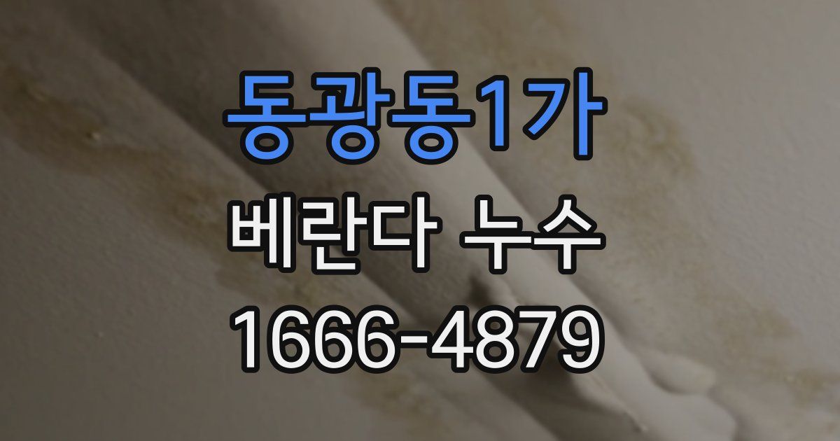 동광동1가 베란다 누수
