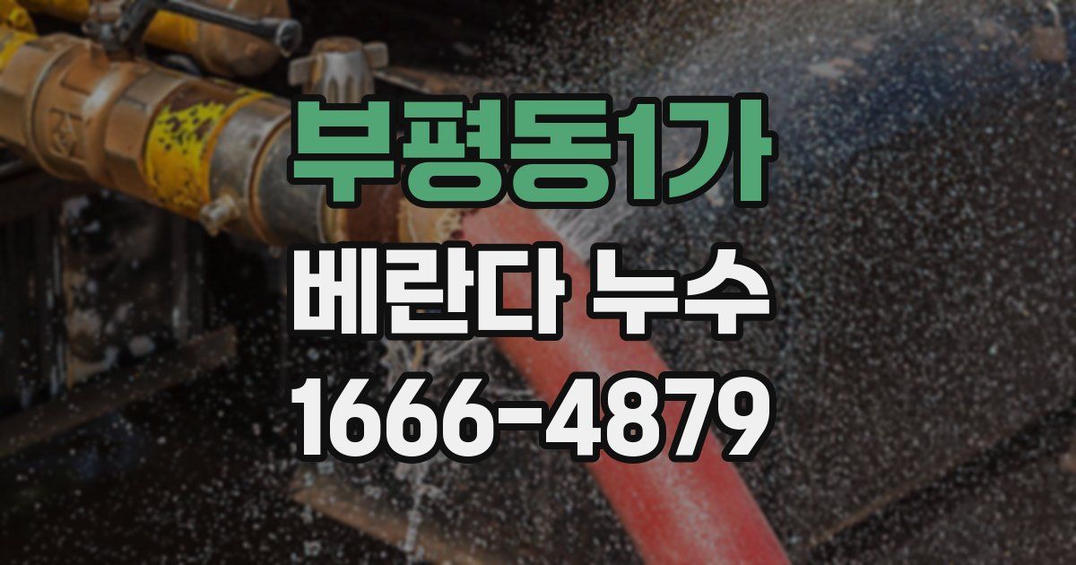 부평동1가 베란다 누수