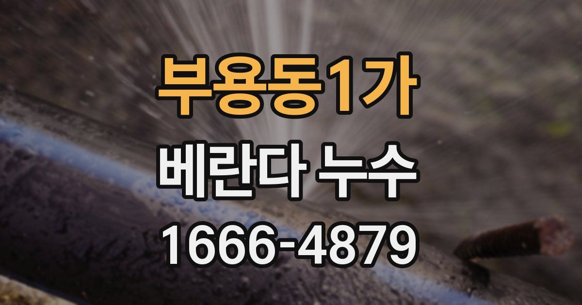 부용동1가 베란다 누수