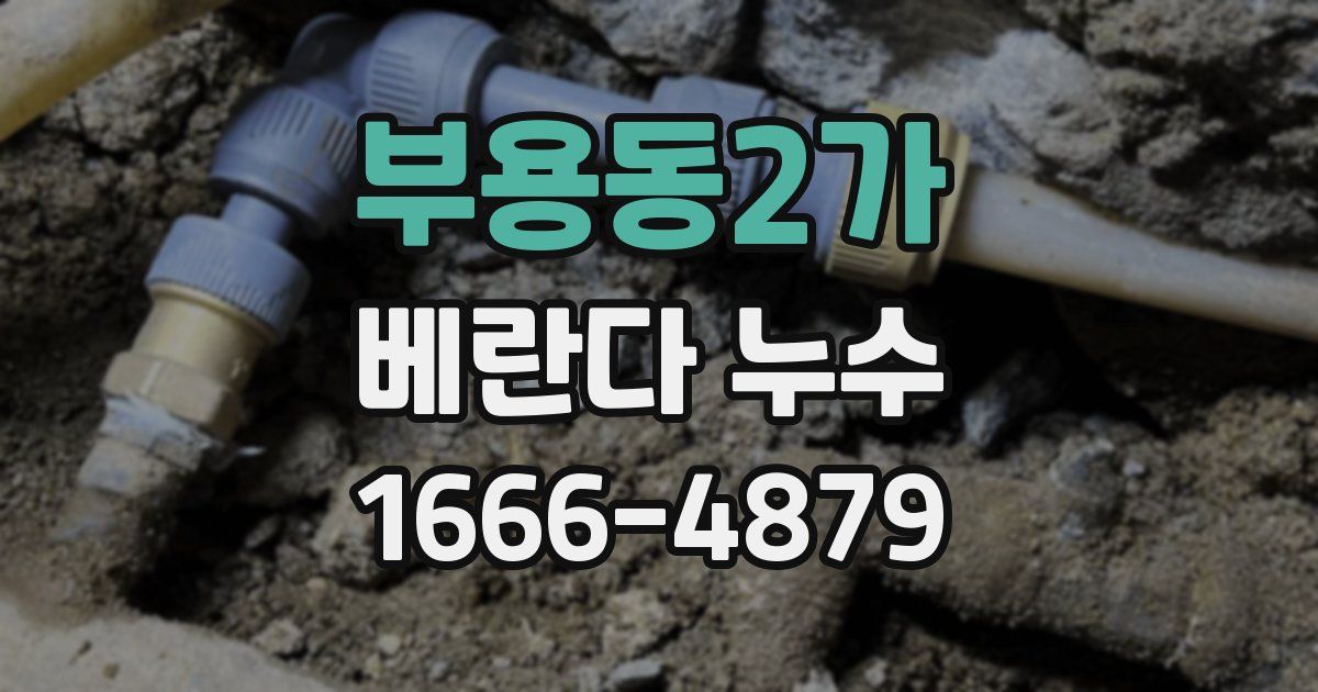 부용동2가 베란다 누수
