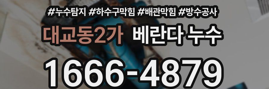 대교동2가 베란다 누수
