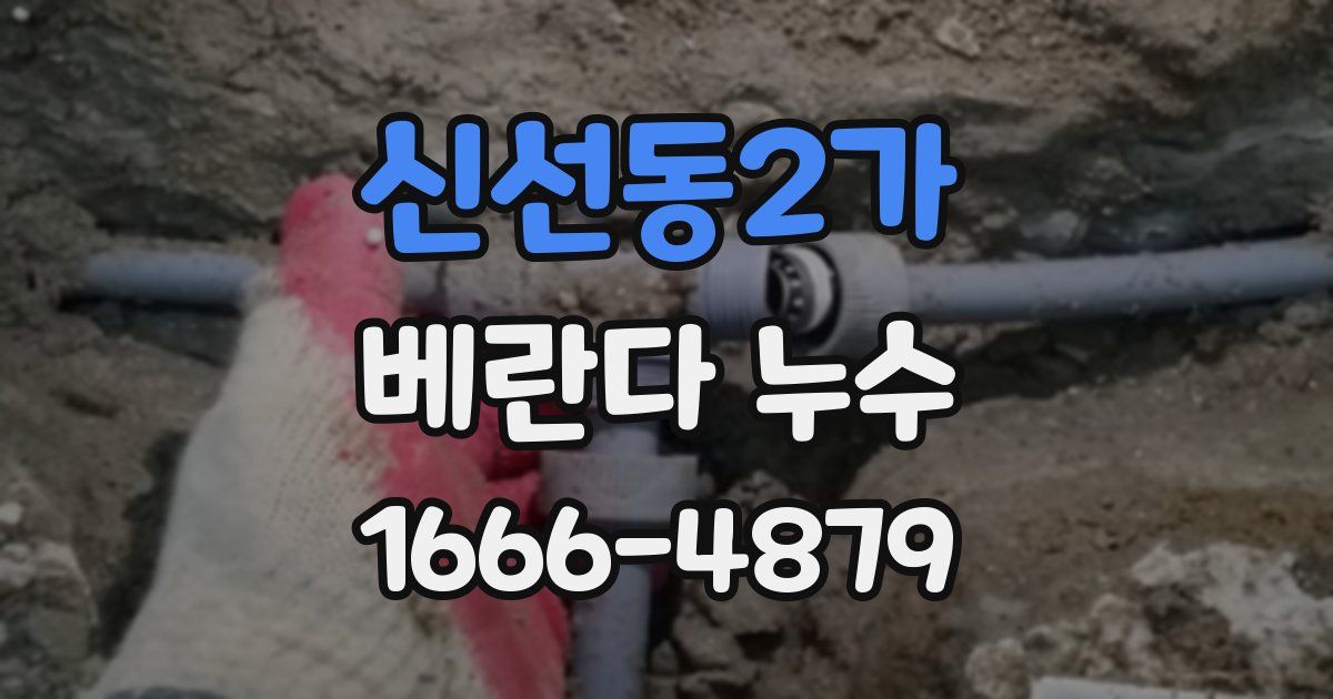 신선동2가 베란다 누수