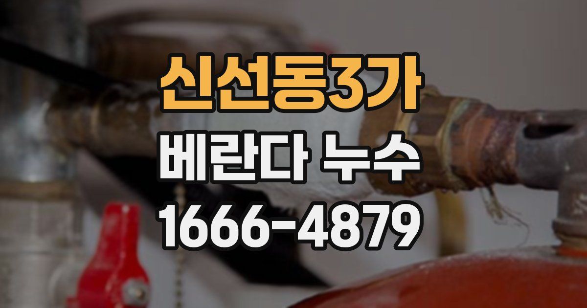 신선동3가 베란다 누수