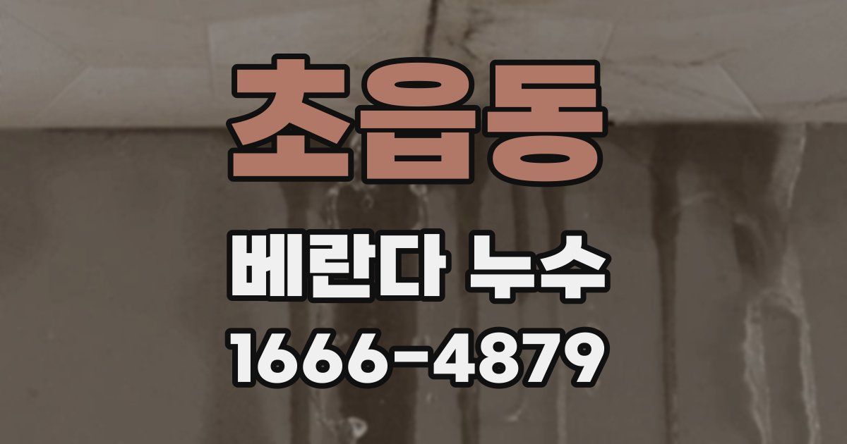 초읍동 베란다 누수