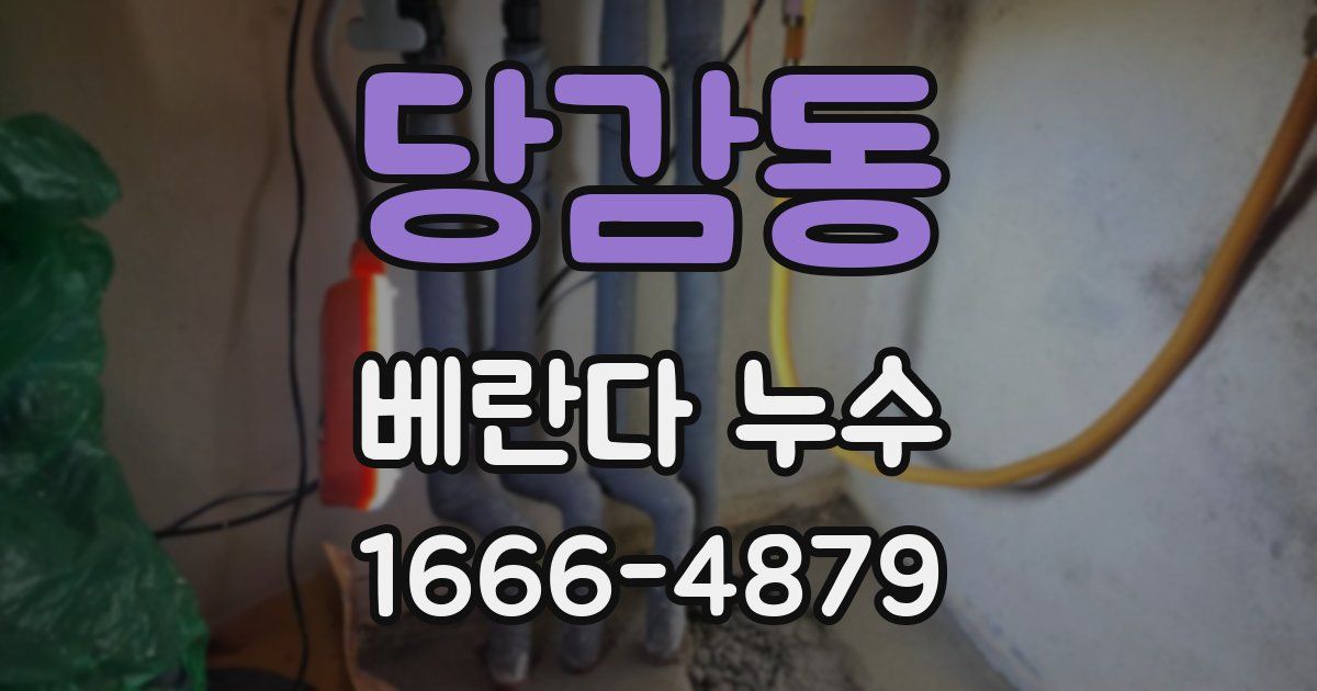 당감동 베란다 누수