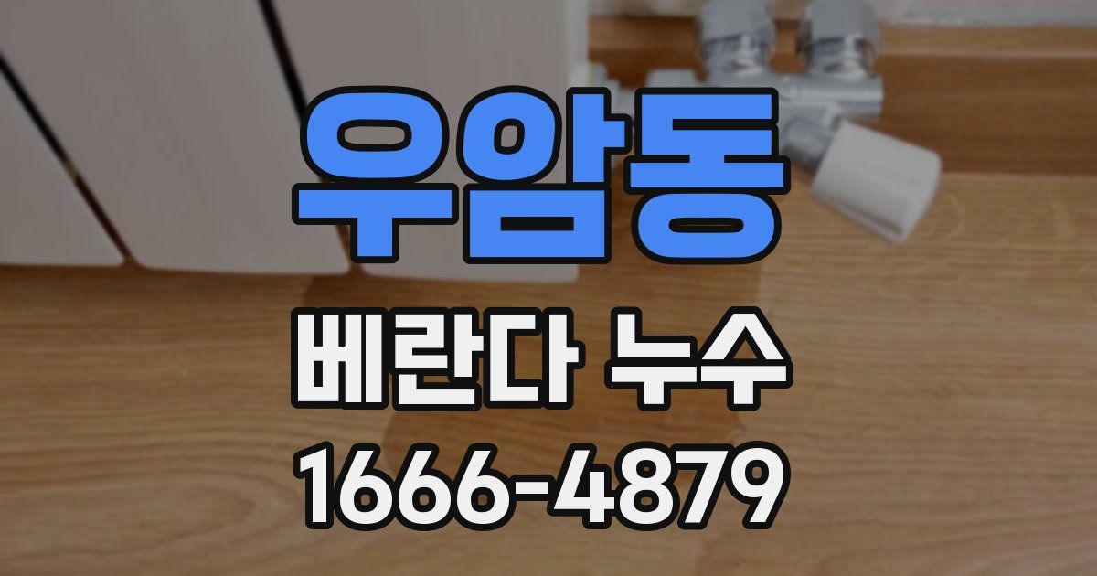 우암동 베란다 누수