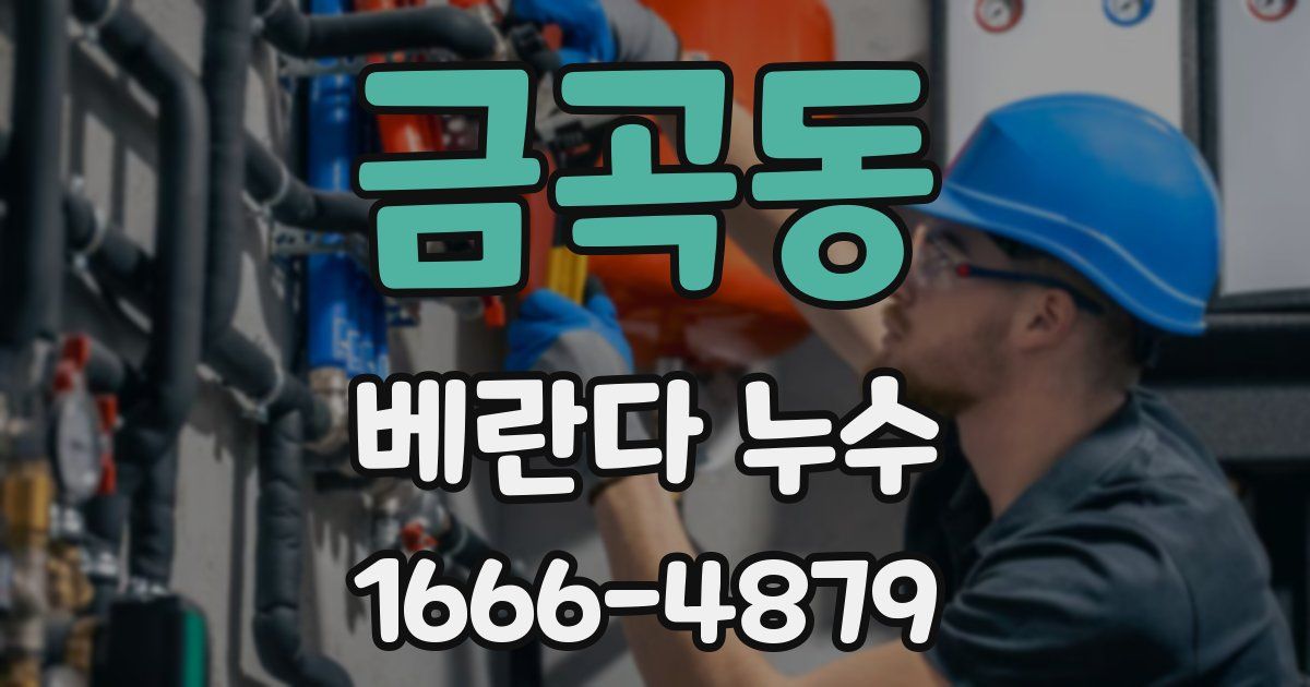 금곡동 베란다 누수