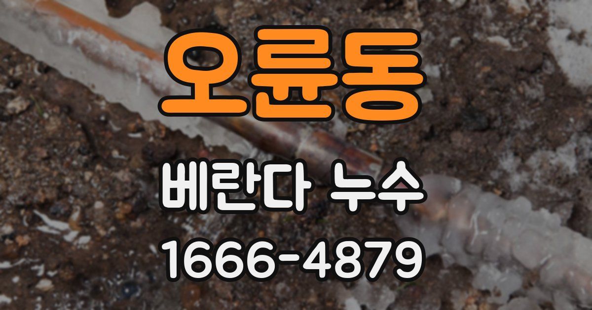 오륜동 베란다 누수