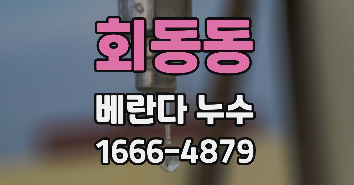 회동동 베란다 누수