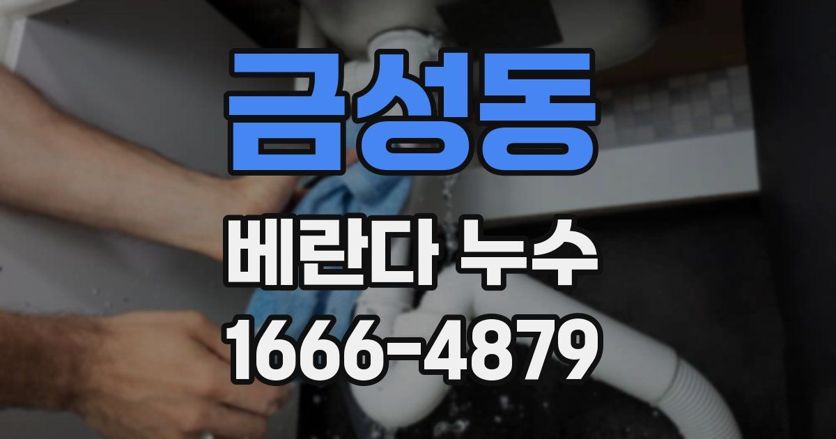 금성동 베란다 누수