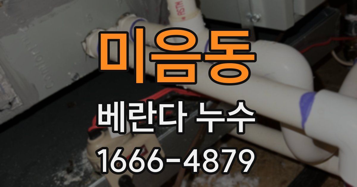 미음동 베란다 누수