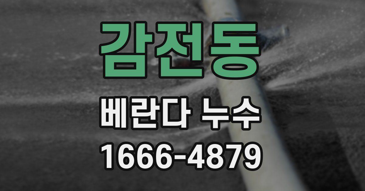 감전동 베란다 누수