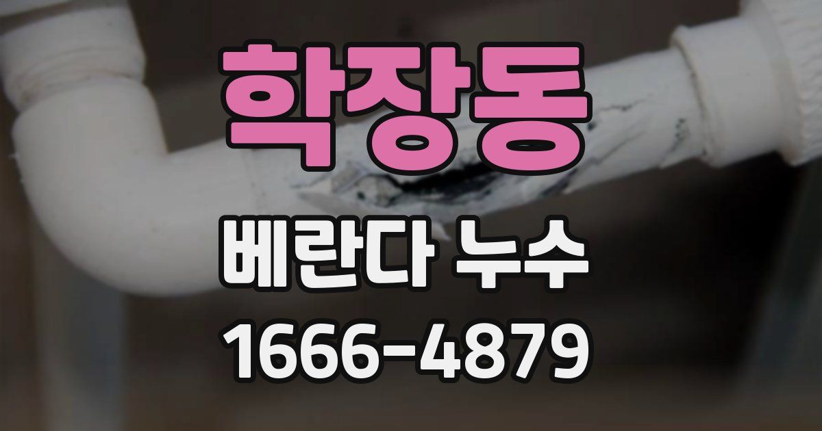 학장동 베란다 누수