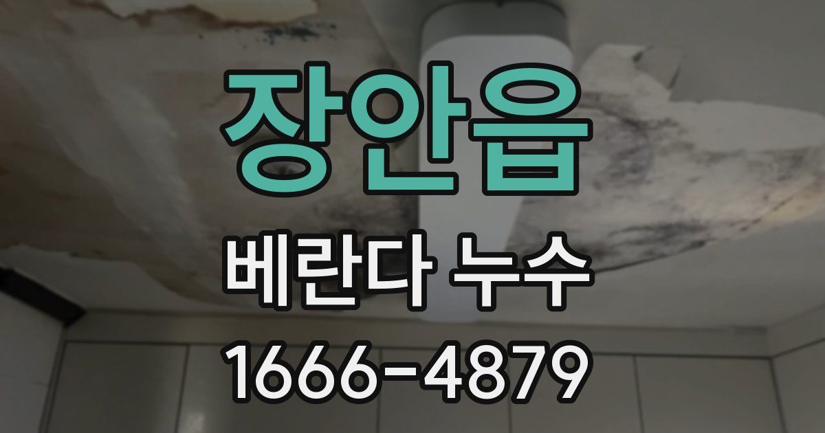 장안읍 베란다 누수