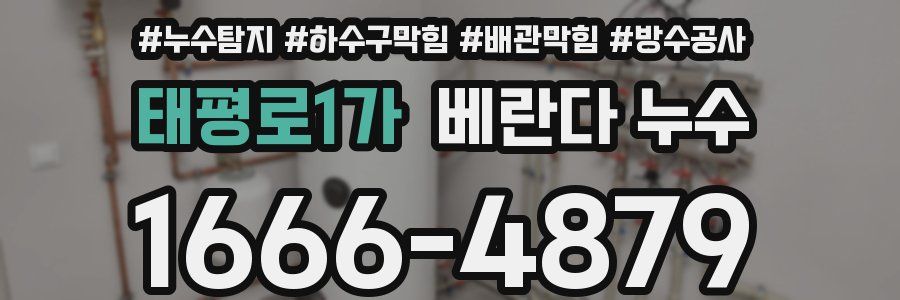 태평로1가 베란다 누수