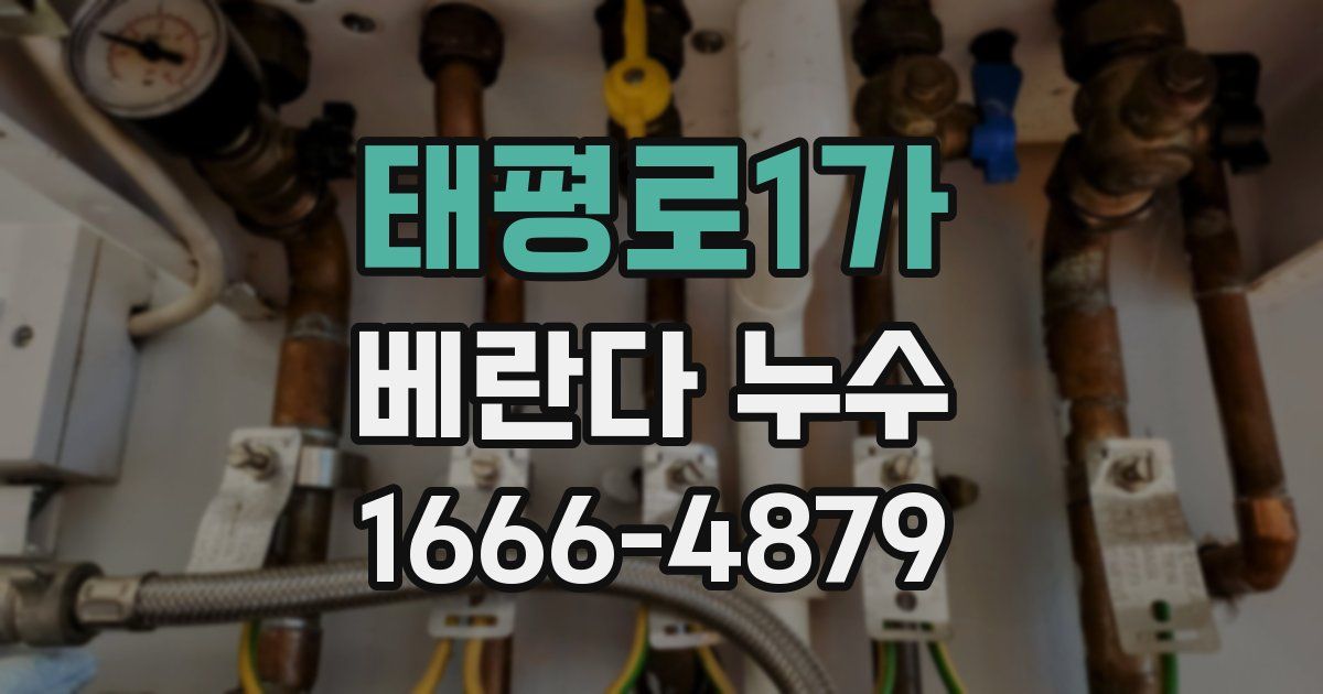 태평로1가 베란다 누수