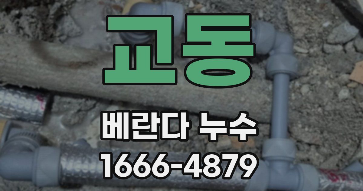 교동 베란다 누수