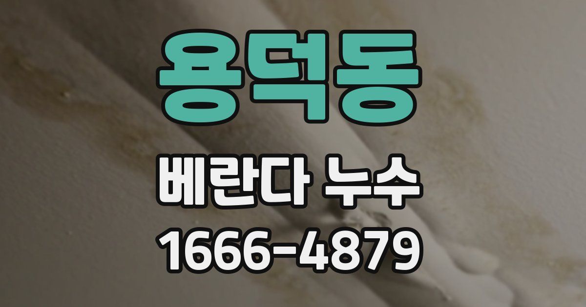 용덕동 베란다 누수