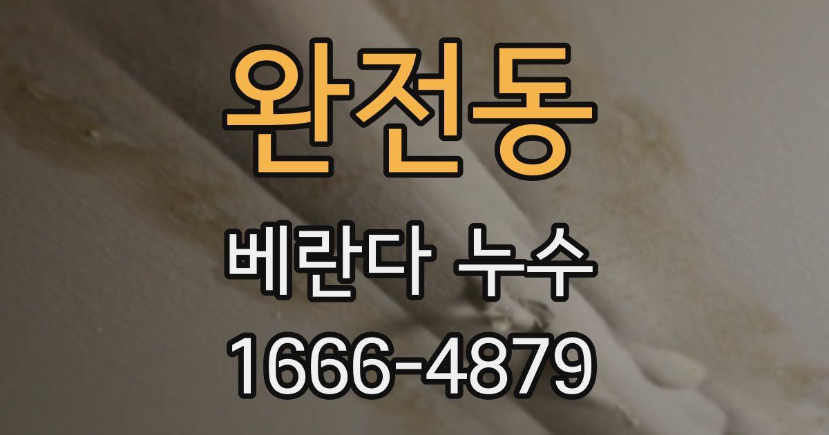 완전동 베란다 누수
