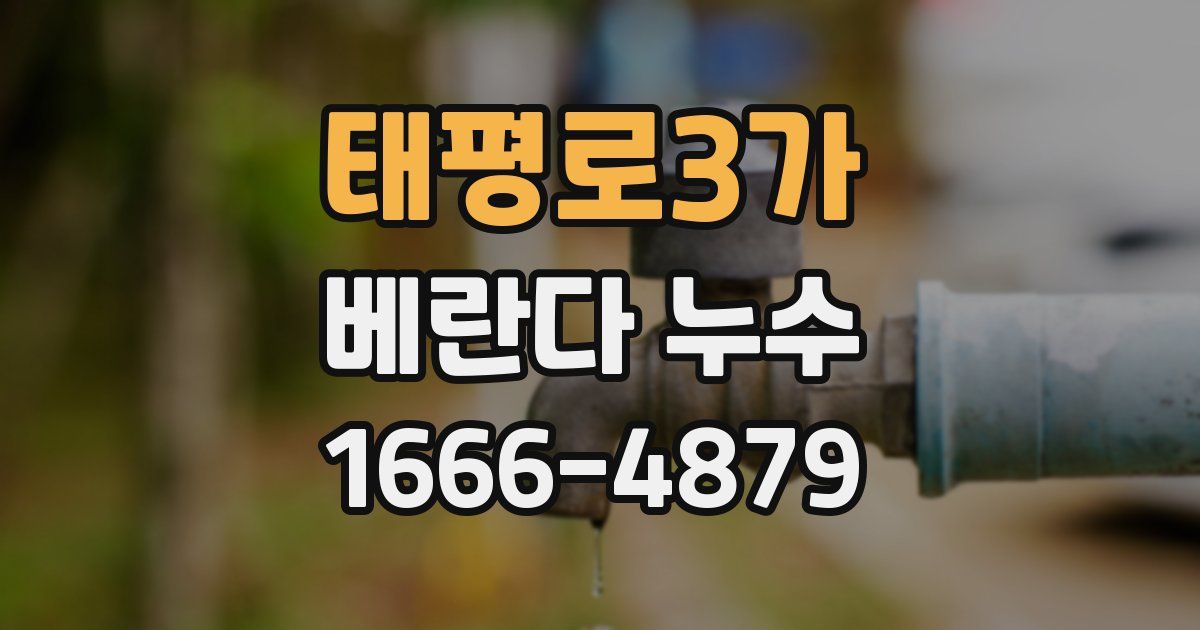 태평로3가 베란다 누수
