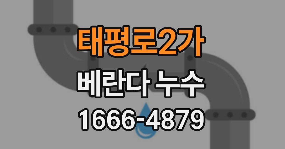 태평로2가 베란다 누수